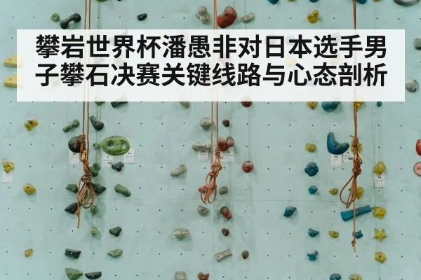 indoor rock climbing competition